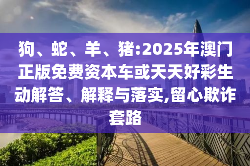 狗、蛇、羊、豬:2025年澳門正版免費資本車或天天好彩生動解答、解釋與落實,留心欺詐套路