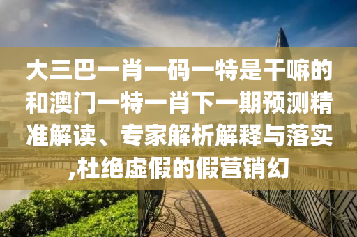 大三巴一肖一碼一特是干嘛的和澳門一特一肖下一期預測精準解讀、專家解析解釋與落實,杜絕虛假的假營銷幻