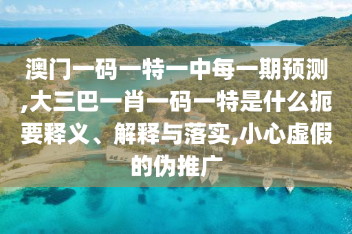 澳門一碼一特一中每一期預測,大三巴一肖一碼一特是什么扼要釋義、解釋與落實,小心虛假的偽推廣