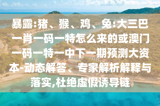 暴露:豬、猴、雞、兔:大三巴一肖一碼一特怎么來的或澳門一碼一特一中下一期預(yù)測大資本-動態(tài)解答、專家解析解釋與落實,杜絕虛假誘導(dǎo)鏈