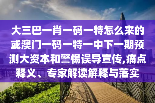 大三巴一肖一碼一特怎么來的或澳門一碼一特一中下一期預(yù)測大資本和警惕誤導(dǎo)宣傳,痛點(diǎn)釋義、專家解讀解釋與落實(shí)