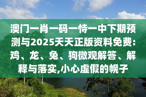 澳門一肖一碼一恃一中下期預(yù)測與2025天天正版資料免費:雞、龍、兔、狗微觀解答、解釋與落實,小心虛假的幌子