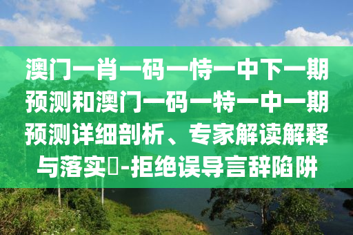 澳門一肖一碼一恃一中下一期預測和澳門一碼一特一中一期預測詳細剖析、專家解讀解釋與落實?-拒絕誤導言辭陷阱