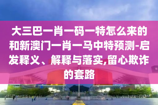 大三巴一肖一碼一特怎么來的和新澳門一肖一馬中特預(yù)測-啟發(fā)釋義、解釋與落實(shí),留心欺詐的套路