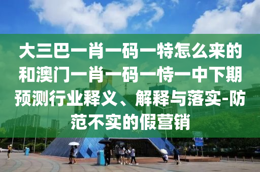大三巴一肖一碼一特怎么來的和澳門一肖一碼一恃一中下期預(yù)測行業(yè)釋義、解釋與落實(shí)-防范不實(shí)的假營銷